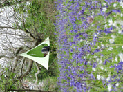 Single Cacoon - Leaf Green