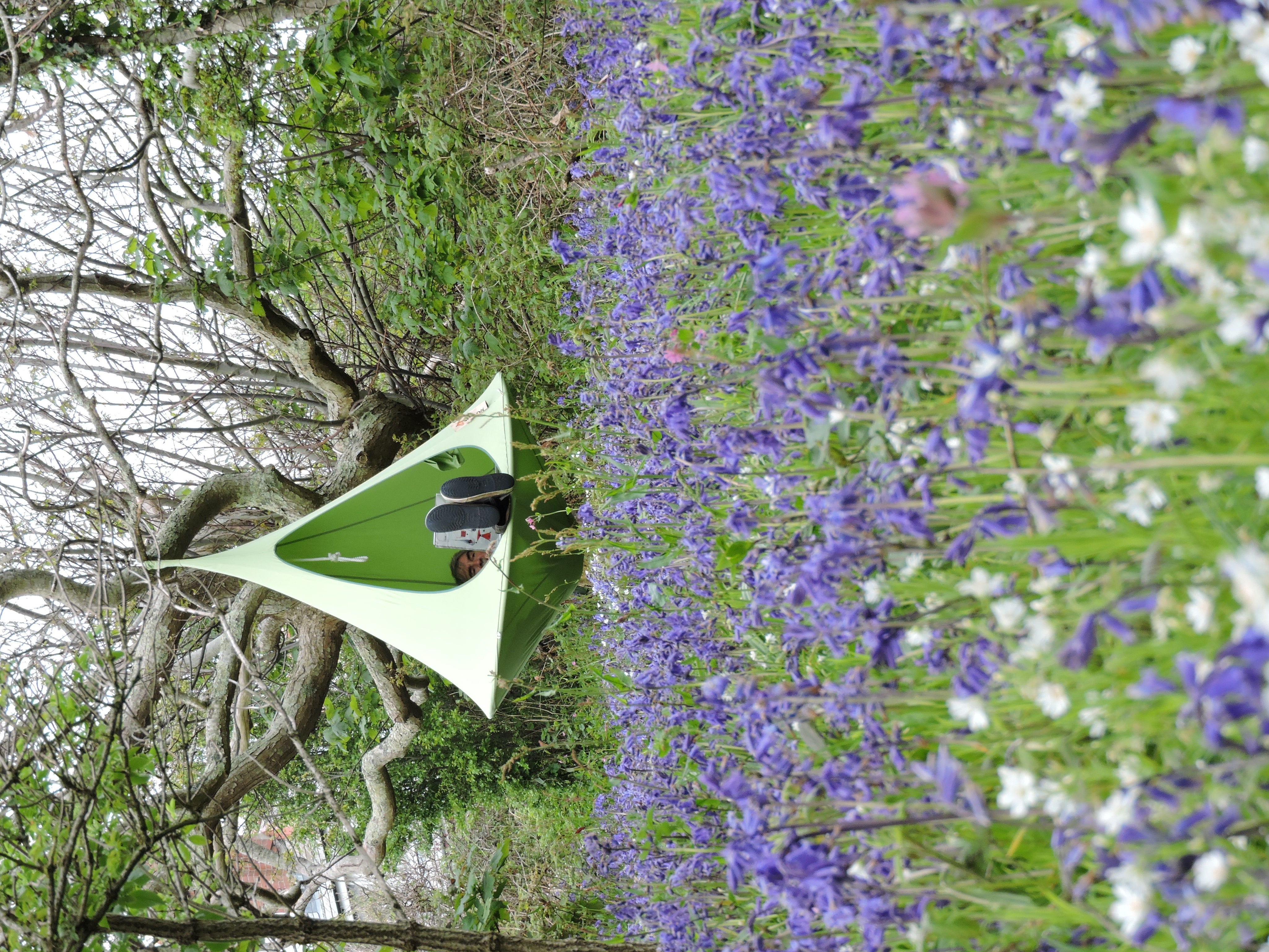 Single Cacoon - Leaf Green