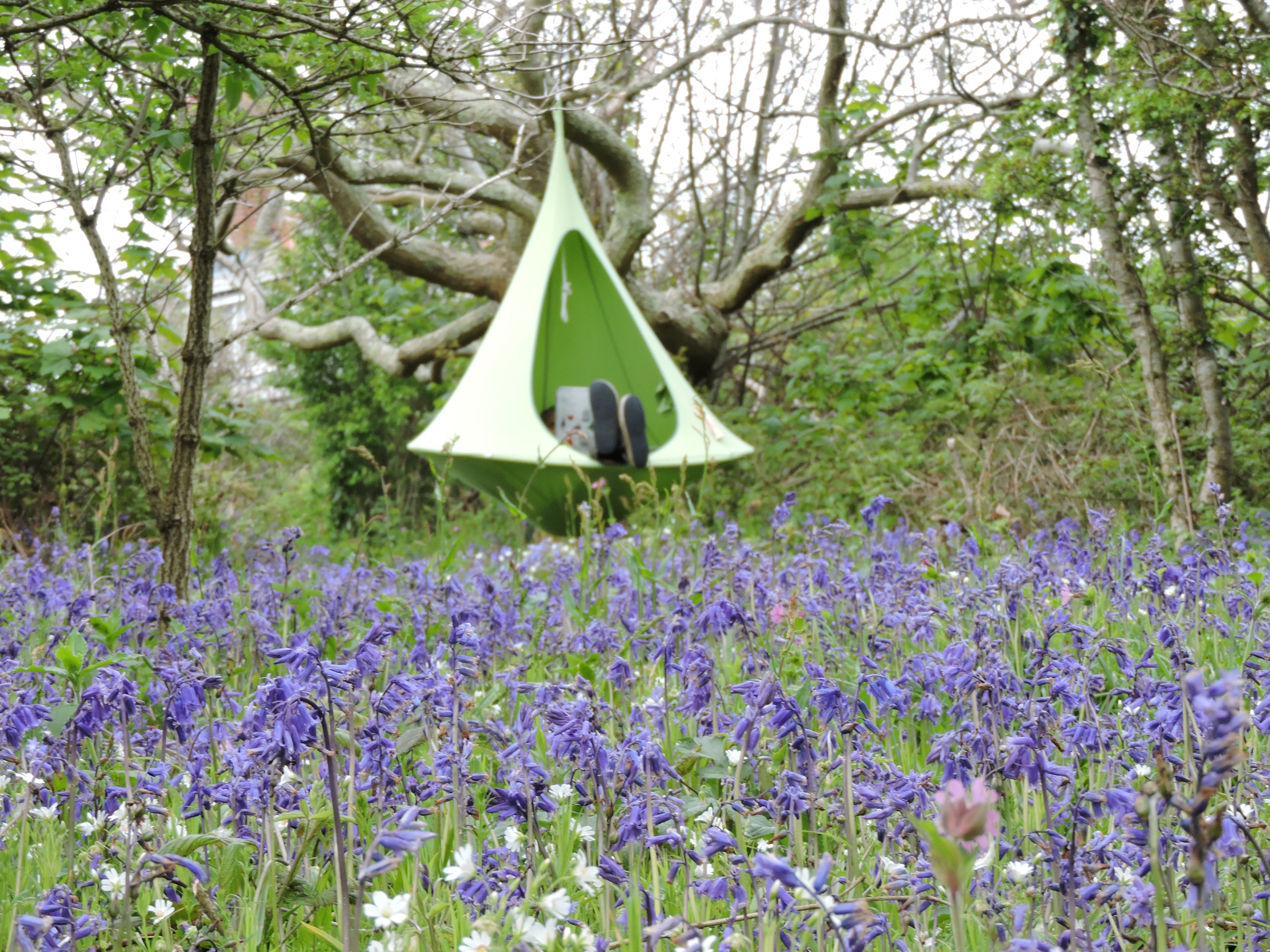 Single Cacoon - Leaf Green