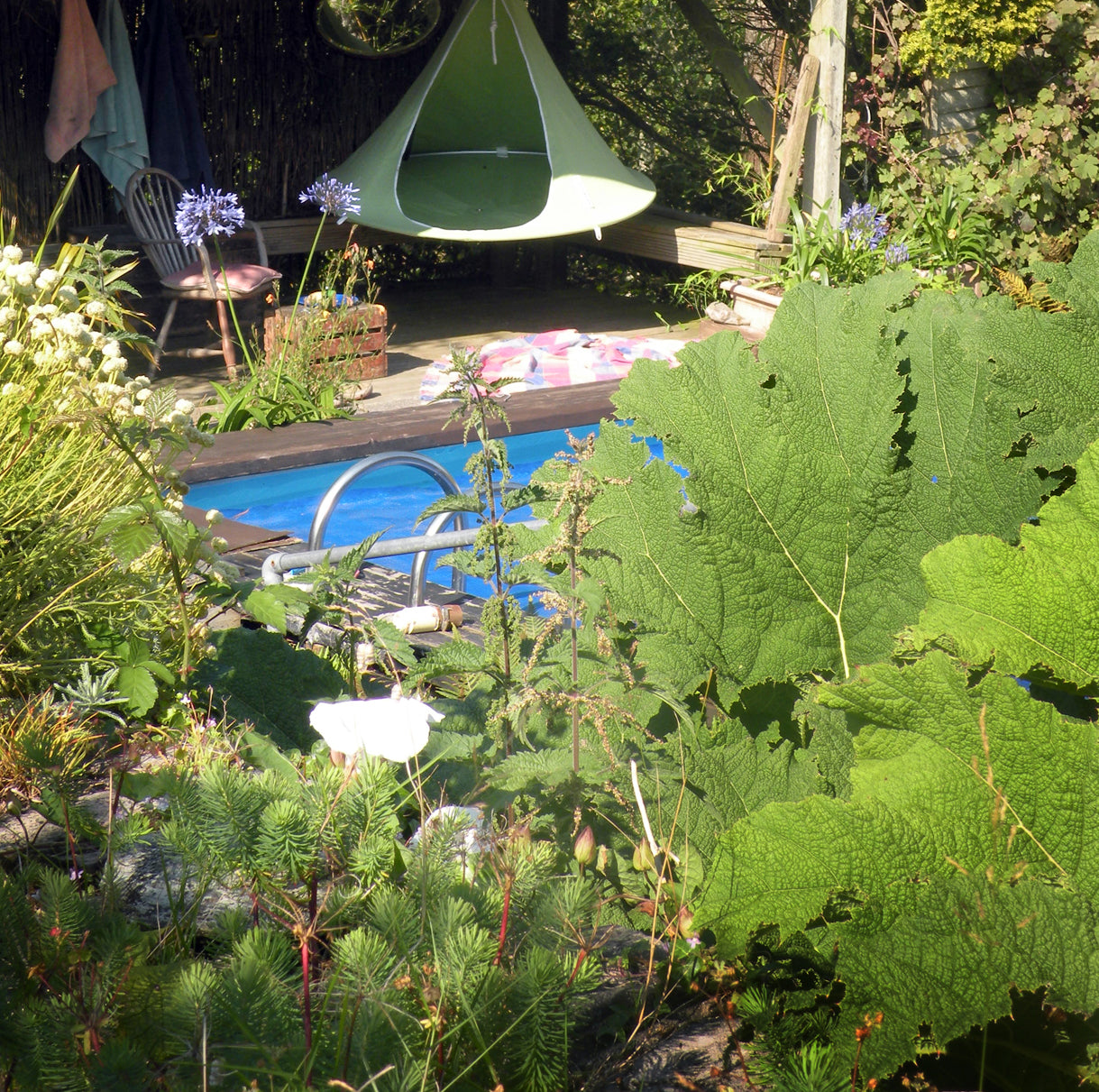 Single Cacoon - Leaf Green