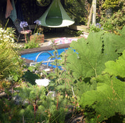 Single Cacoon - Leaf Green