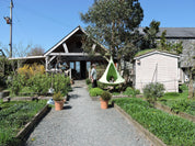 Single Cacoon - Leaf Green