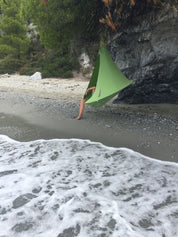 Single Cacoon - Leaf Green