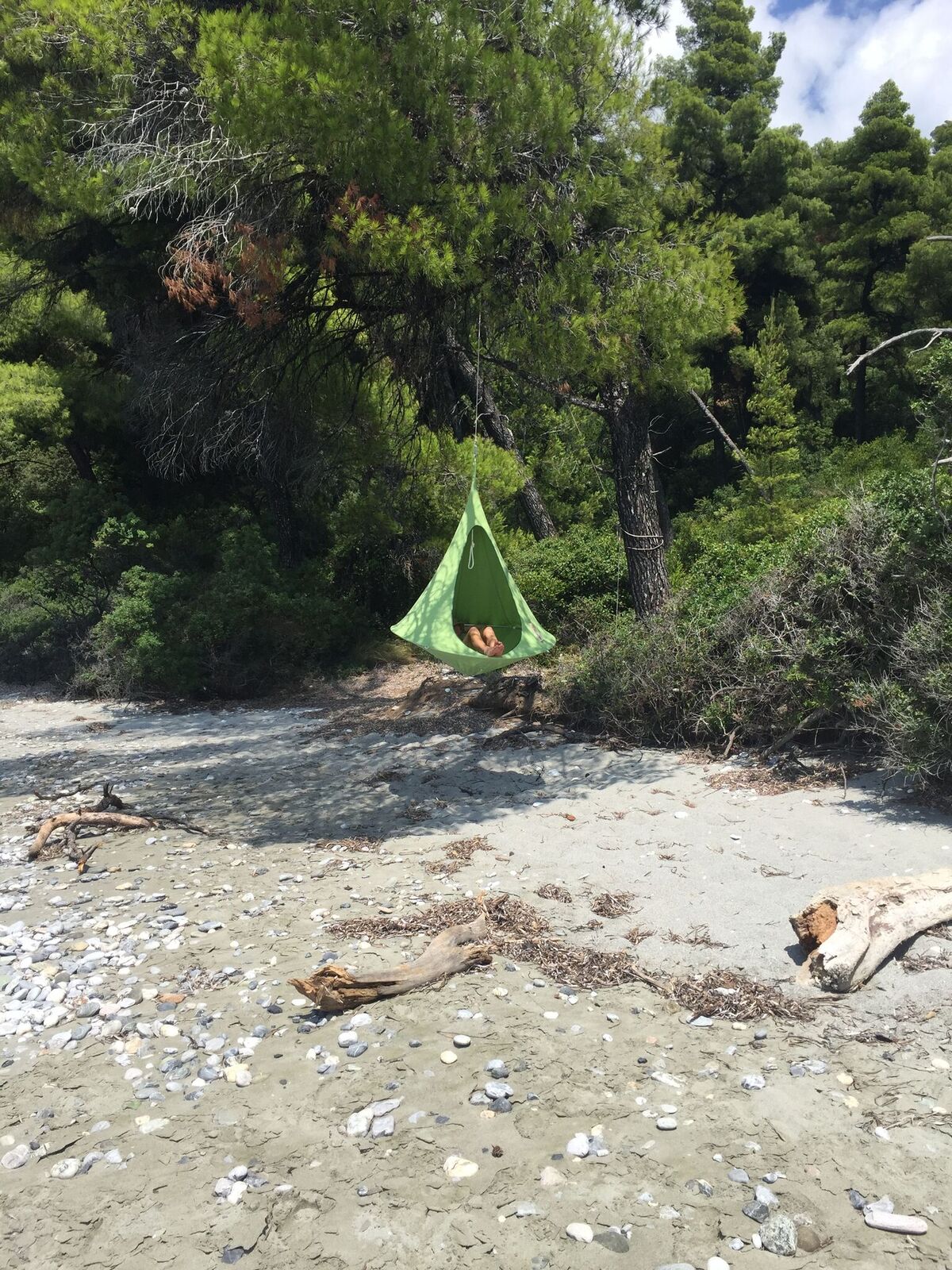 Single Cacoon - Leaf Green