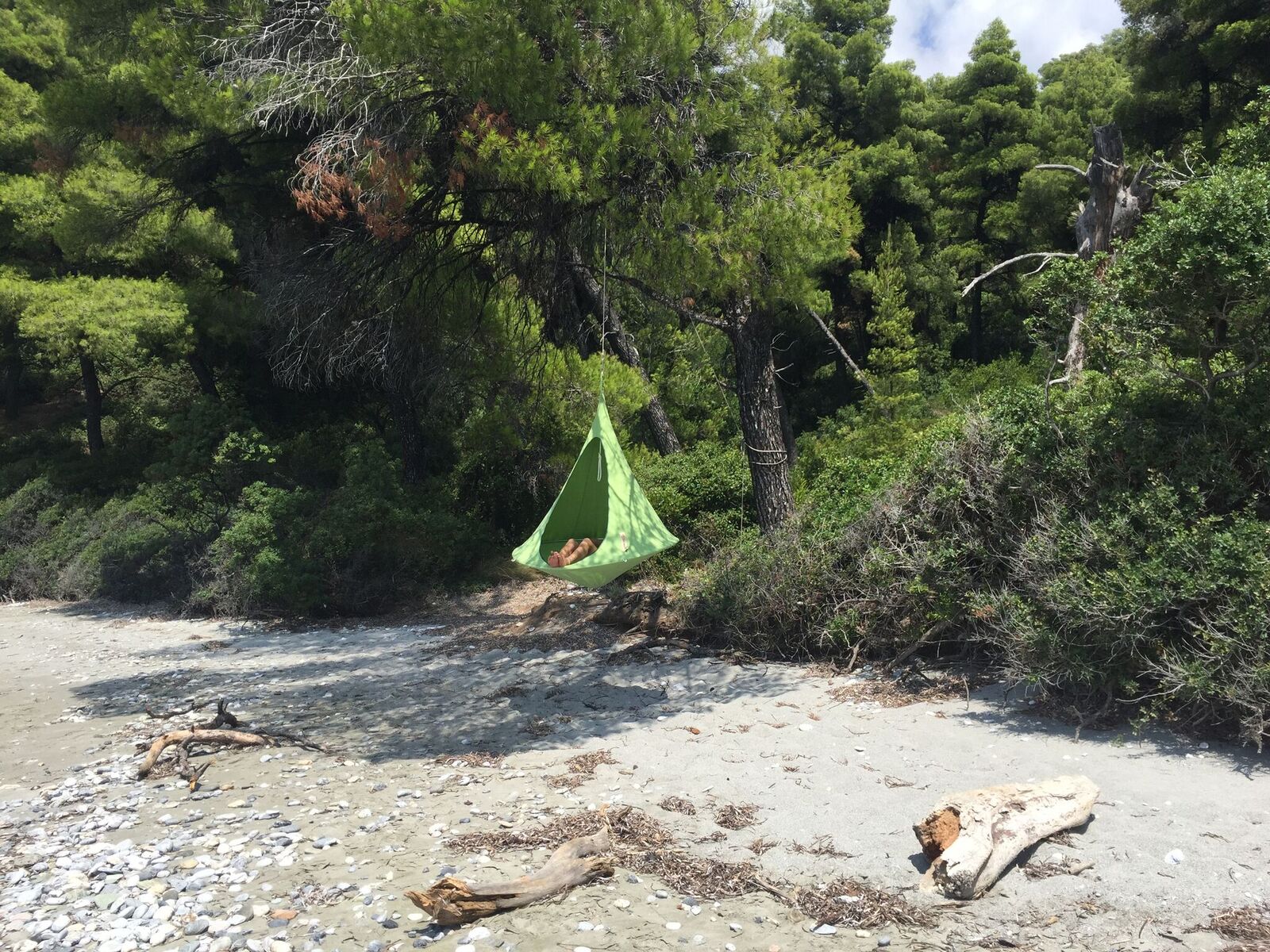 Single Cacoon - Leaf Green