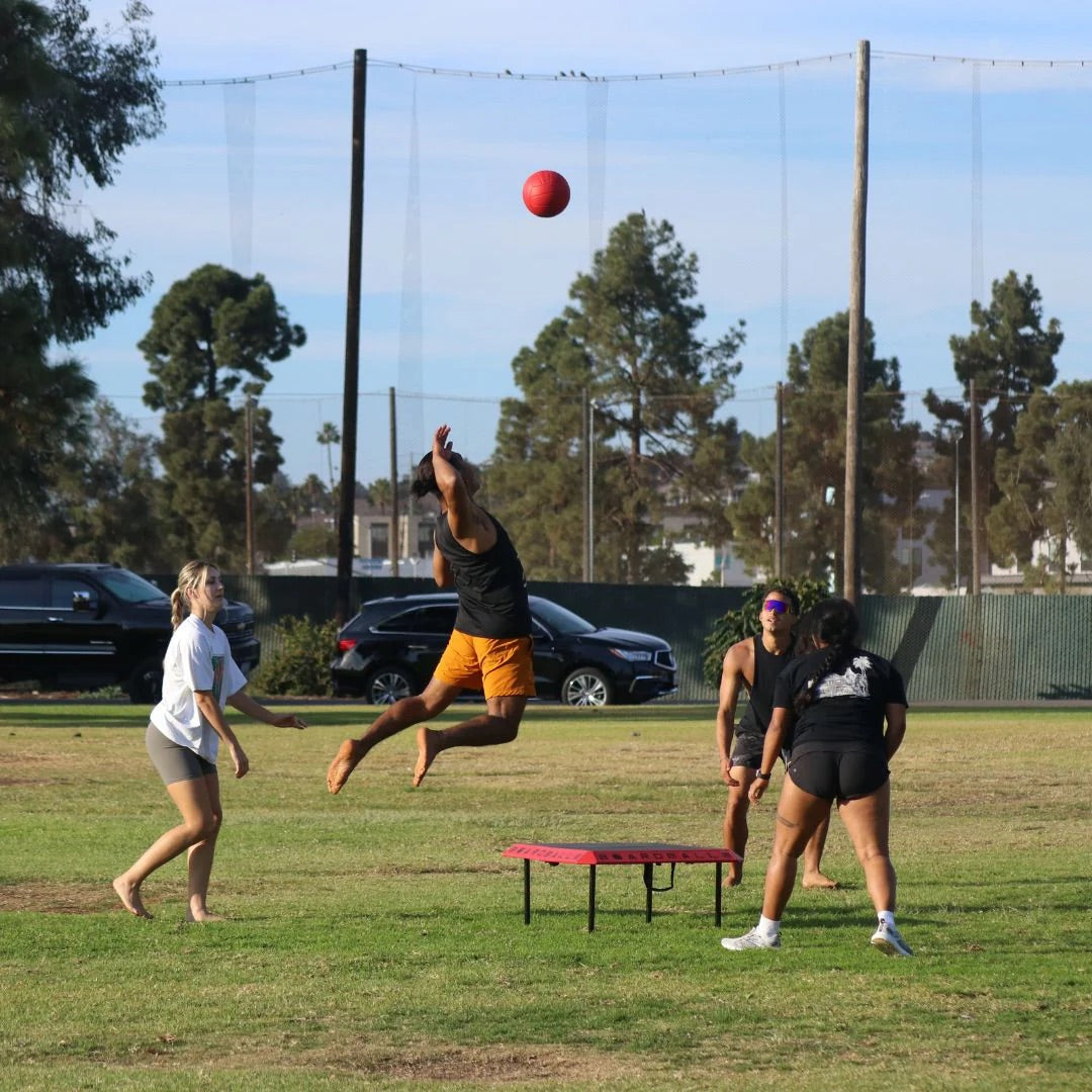 The Boardball Set - Outdoor Game